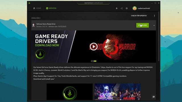 Call Of Duty Vanguard Startup Issues & Black Screen Fix