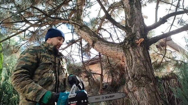 Электро пила зубр пц-1835 #инструмент #зубр #обзор #дача #советы смотреть онлайн