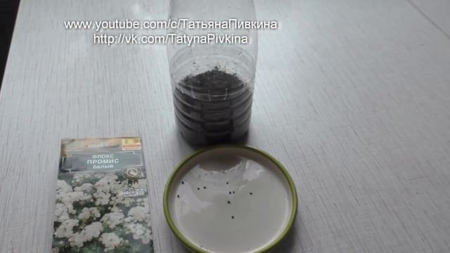 ПОСЕВ флоксов (однолетних) 11 апреля смотреть онлайн