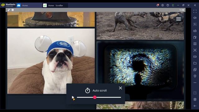 Scrolller App Apk for Android (Download unoficial version Scrolller.com) смотреть онлайн