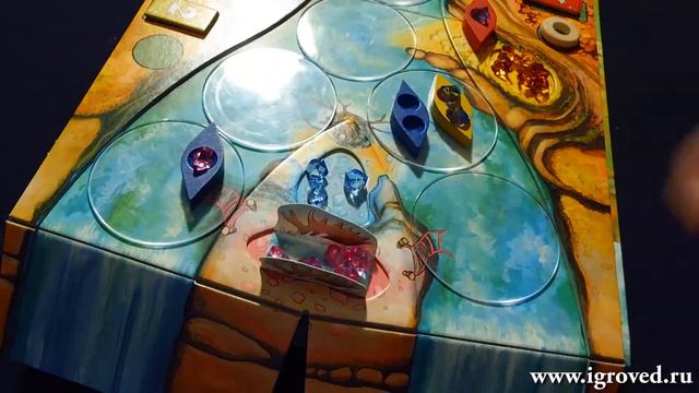 Игры для всех вкусов