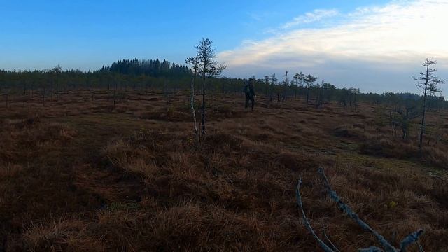 Охота на Не Гуся в Ленинградской области. Весна 2021 год. смотреть онлайн