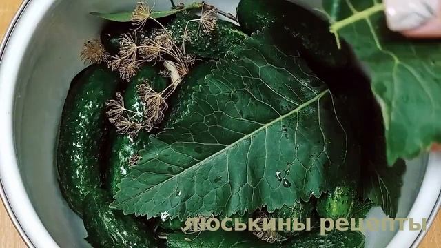 Хрустящие МАЛОСОЛЬНЫЕ ОГУРЦЫ в кастрюле | Как засолить огурцы смотреть онлайн