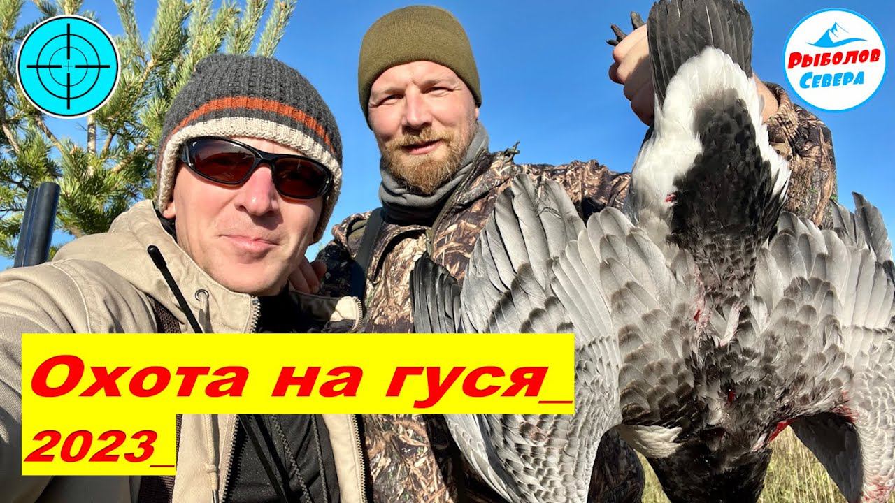 ✅ ОХОТА НА ГУСЯ 2023 l МОЩНЫЕ НАЛЁТЫ l СТОЛЬКО ГУСЯ МЫ НЕ ВИДЕЛИ #охота #гусь #goosehunting смотреть онлайн