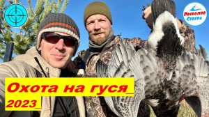 ✅ ОХОТА НА ГУСЯ 2023 l МОЩНЫЕ НАЛЁТЫ l СТОЛЬКО ГУСЯ МЫ НЕ ВИДЕЛИ #охота #гусь #goosehunting