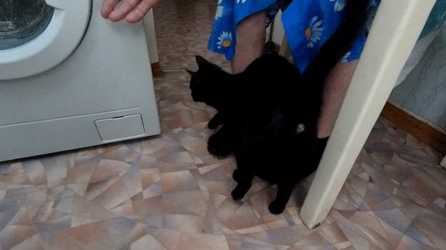 МАШИНКУ ПОДКЛЮЧИЛИ. БОЛЬШАЯ СТИРКА НАЧАЛАСЬ!!! смотреть онлайн