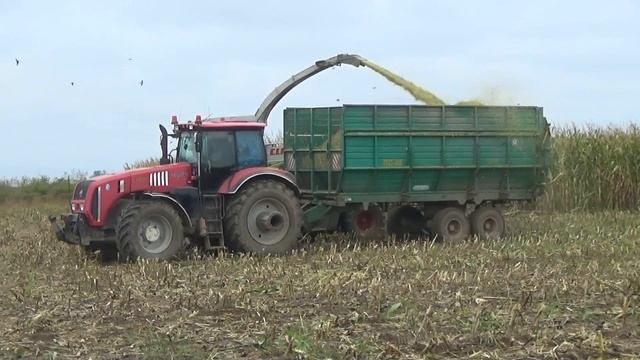 Уборка кукурузы на силос: Claas Jaguar 870,John Deere 6750 vs МТЗ 82,1221,3522; МАЗ 5551,5516 смотреть онлайн