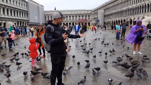 Венеция Площадь Святого Марка (Сан Марко, Piazza San Marco) – главная площадь Венеции. смотреть онлайн