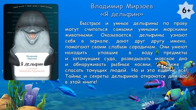 Всемирный день китов и дельфинов смотреть онлайн