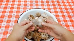 Чеснок Соленый на Зиму