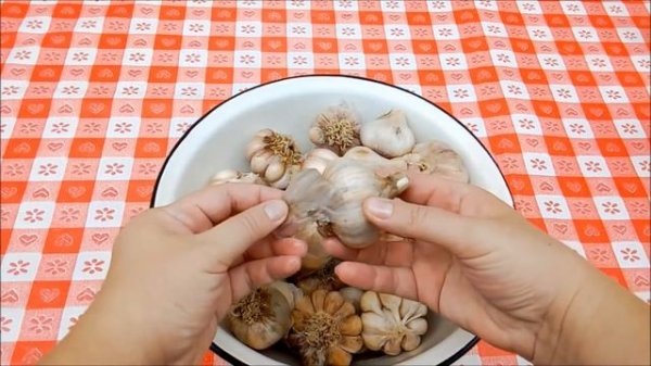 Чеснок Соленый на Зиму