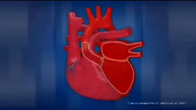 А Л И И Лу У У У! ВДОХ. ВЫДОХ. Клапаны Сердца. смотреть онлайн