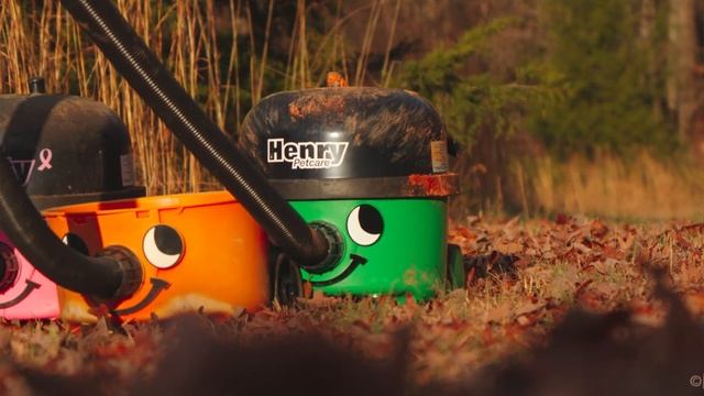 Numatic Henry Petcare Vacuum Cleaner - Coming Soon! смотреть онлайн