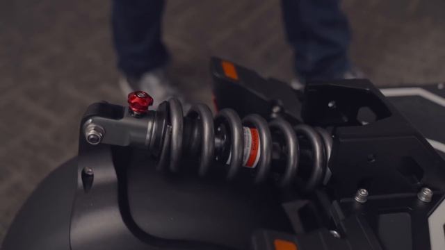 Dualtron X Limited Unboxing & Impressions