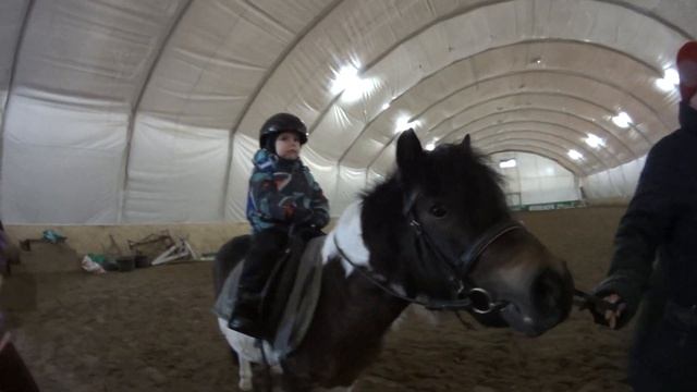 Матвей скачет на пони апокалипсиса)) Ферма "Александрова Дача" часть 2 смотреть онлайн