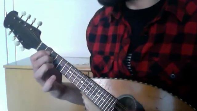 Drunken Lullabies - Flogging Molly (mandolin cover) смотреть онлайн