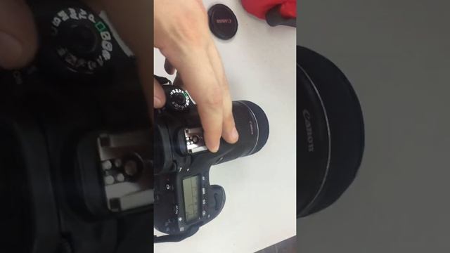 Cannon eos 60d смотреть онлайн