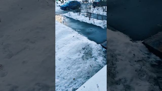 В России нет культуры когда парень ухаживает за девушкой /МД/РСП/РАЗВЕДЕНКА С ПРИЦЕПОМ смотреть онлайн