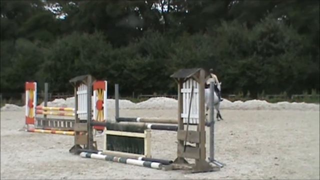 October Germany Cornet Oblensky 7 yo gelding with tanya 2013 смотреть онлайн