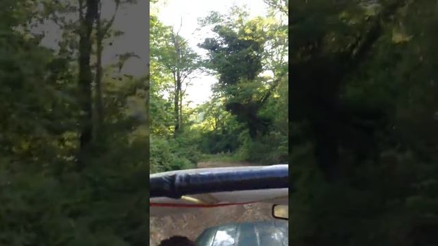 Геленджик, село Пшада, река Пшада смотреть онлайн