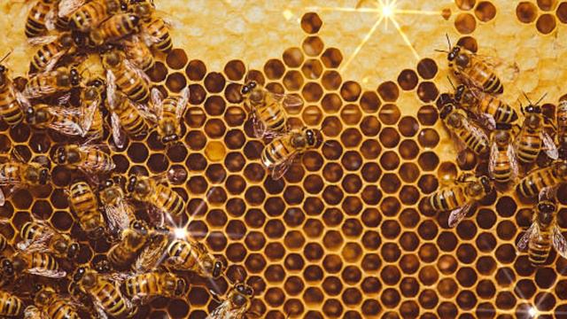 С Медовым Спасом! Красивое поздравление С Медовым Спасом Открытка Медовый Спас смотреть онлайн