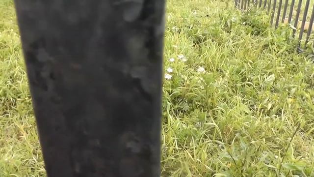 монстр из Федорцово часть1 смотреть онлайн