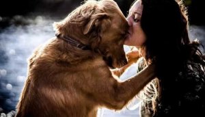 ПОМОЩЬ ЧЕРЕЗ ЛЮБИМЦА. ДЛЯ ВСЕХ ВЕДЬМИНА ИЗБА ИНГА ХОСРОЕВА.mp4