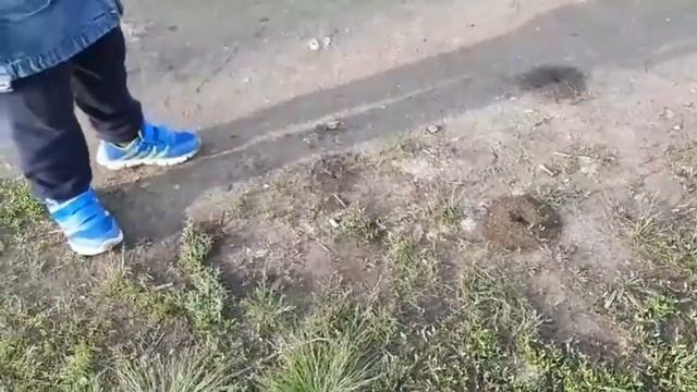 Первая встреча с муравьями в этом году!Исследуем муравейники! смотреть онлайн
