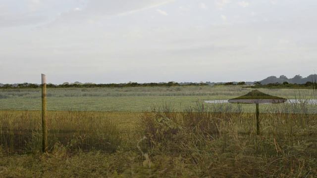 Laguna Oca, Formosa, Argentina смотреть онлайн