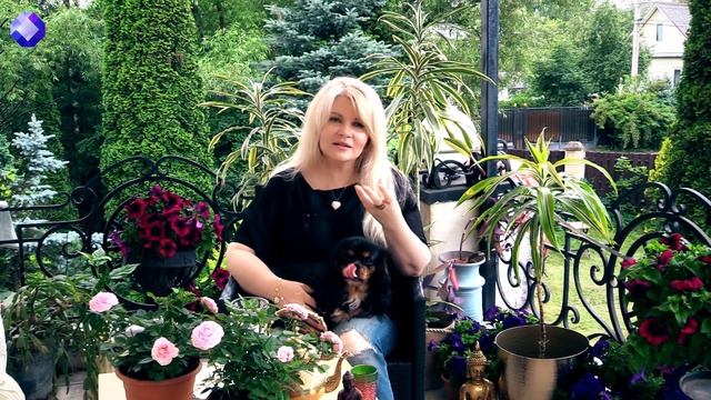 О ПЕРЕРОЖДЕНИИ ДУШ И ПРОШЛЫХ ЖИЗНЯХ. смотреть онлайн