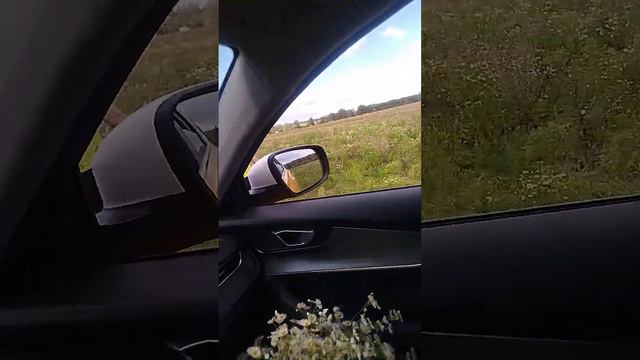 Моя девчонка