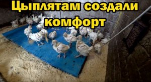 Теплый пол для цыплят