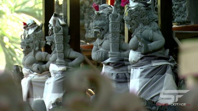 BALI, Stock Video Footage, Beautiful смотреть онлайн