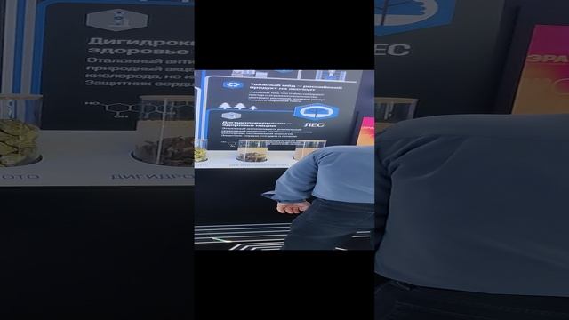 ВДНХ.Амурская область смотреть онлайн