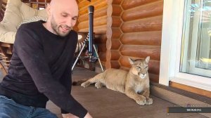 Прямой эфир.  10 апреля.