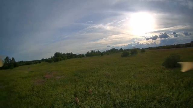 Косули смотреть онлайн