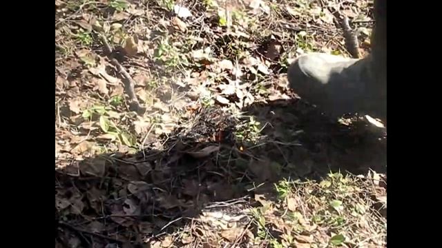 16.04.2017 ВЕЛОШКОЛА Практическое занятие смотреть онлайн