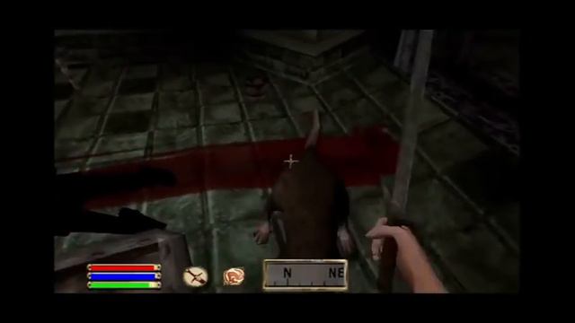 Oblivion PSP (cancelled)