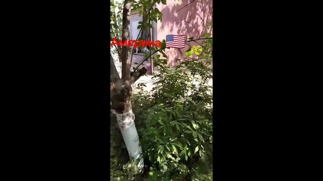Культурная программа ?????? леон степаеов с друзьями смотреть онлайн