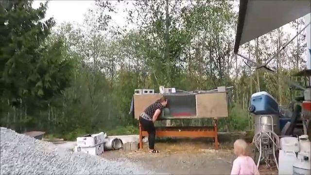 Опять купила цыплят, Женя делает крыльцо смотреть онлайн