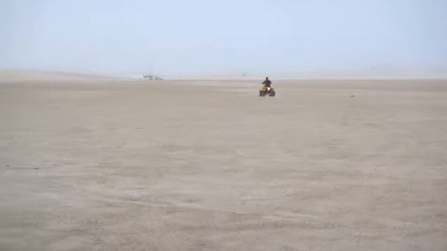 Desert Bike 5 смотреть онлайн