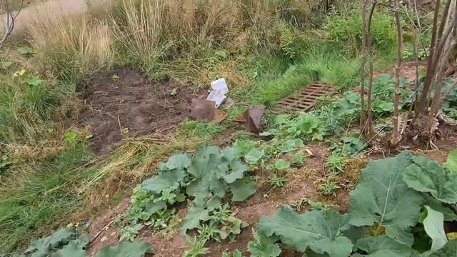 Отличные находки у работающей фермы . смотреть онлайн