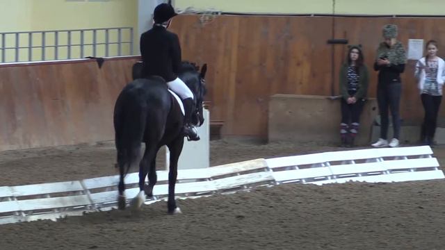 Кубок УрФО по конному спорту. Скрябинский Данил, Энвер-Паша, 14.02.16 смотреть онлайн