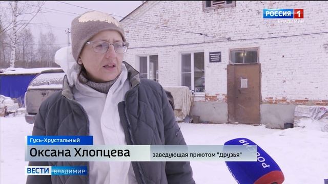 В Гусь-Хрустальном приют для животных "Друзья" ждет ремонта и готовится к зиме смотреть онлайн