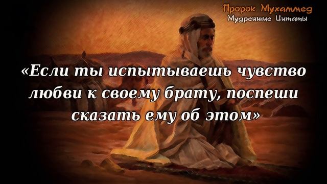 46 Великолепных Цитат Пророка Мухаммада, Которые нужно знать, Цитаты, Афоризмы, Изречения смотреть онлайн