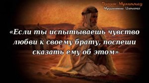 46 Великолепных Цитат Пророка Мухаммада, Которые нужно знать, Цитаты, Афоризмы, Изречения