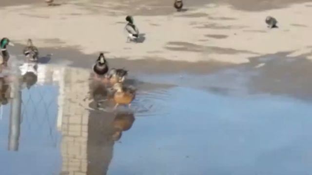 Обзор на Вологду. смотреть онлайн