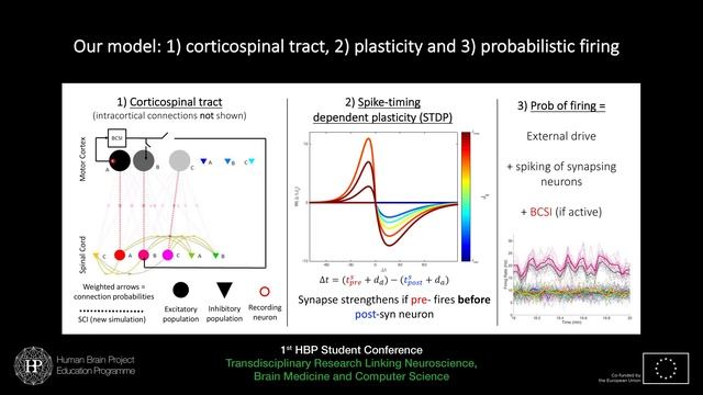 Student Session I: Stefano Vrizzi - Probabilistic framework simulating artificially-induced (...) смотреть онлайн