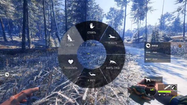 theHunter: Call of the Wild - Квесты в тайге смотреть онлайн