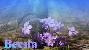 Футаж. Весна 28